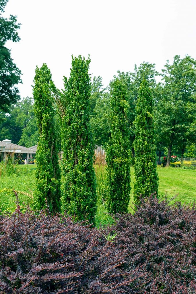 How To Leave A Shared Word Document How To Leave A Shared Word Document
