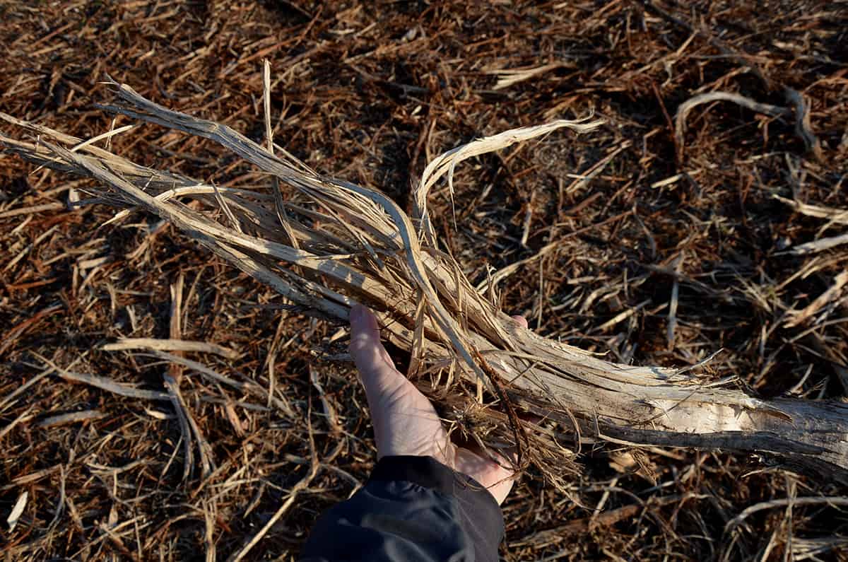 Mulch ground