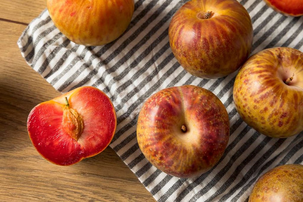 5 Plums that Are Red Inside Plantglossary