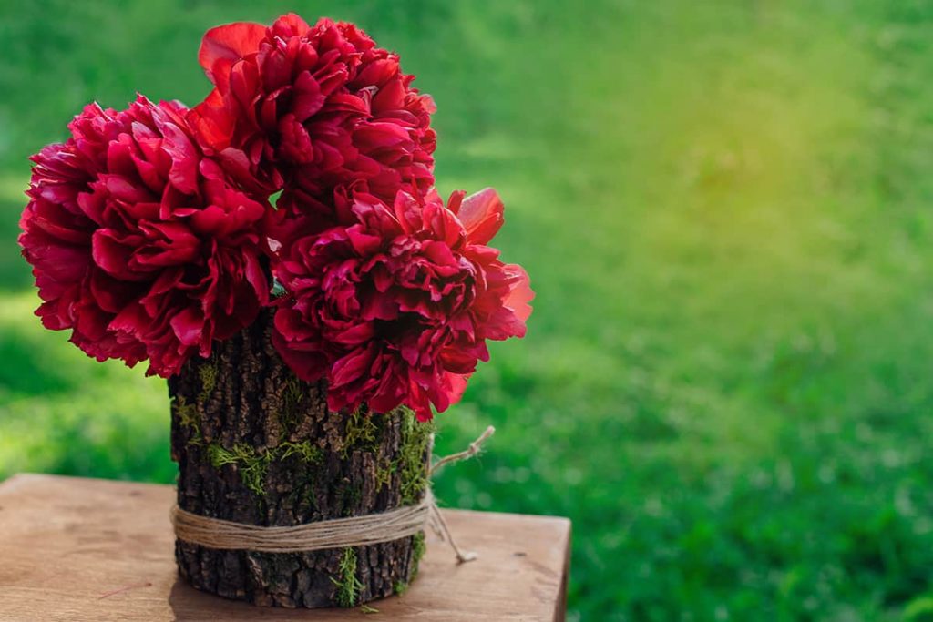 When to Transplant Peonies? Plantglossary