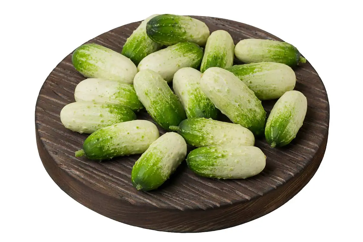What is a Miniature White Cucumber