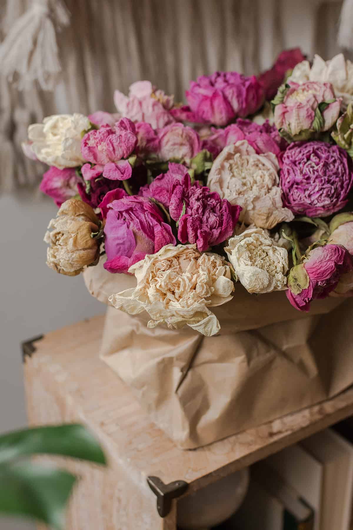 How to Display Dried Peonies