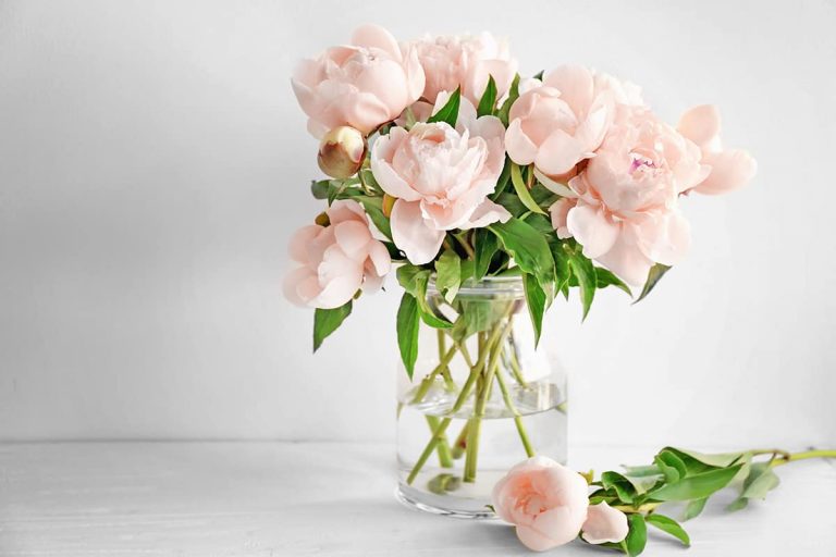 How Long Do Flowers Last without Water? - Plantglossary