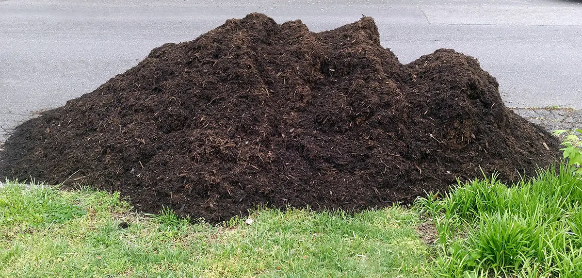 Price for a Yard of Compost