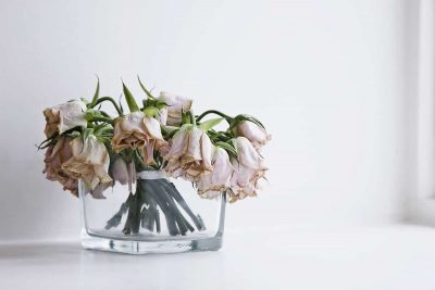 How Long Do Flowers Last without Water? - Plantglossary