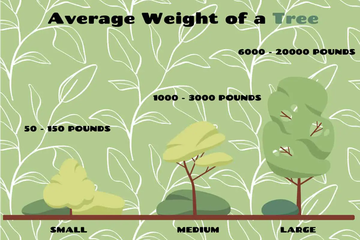 Average weight of a tree