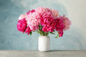 How to Care for Peonies in A Vase