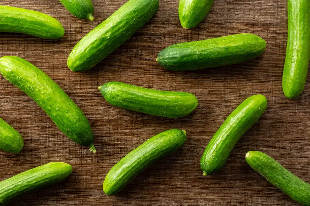 Picolino Cucumbers – Growing and Care Guide