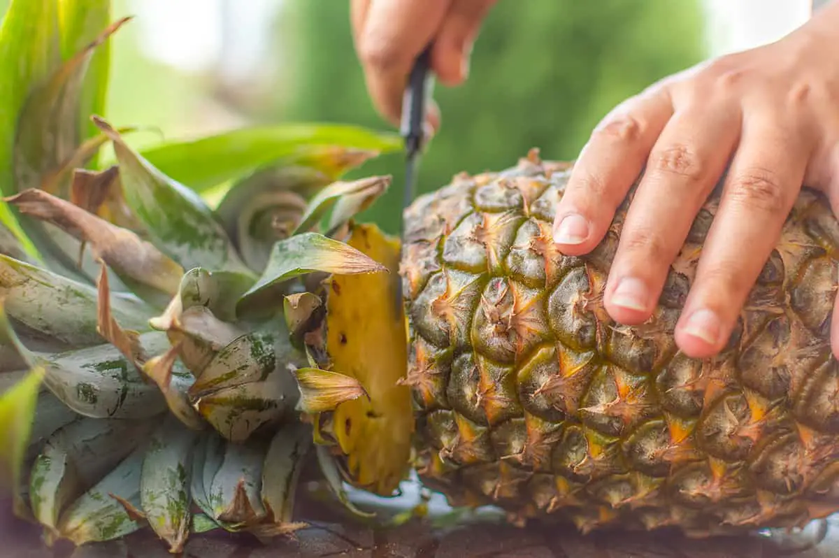 Preparation of the Pineapple Top