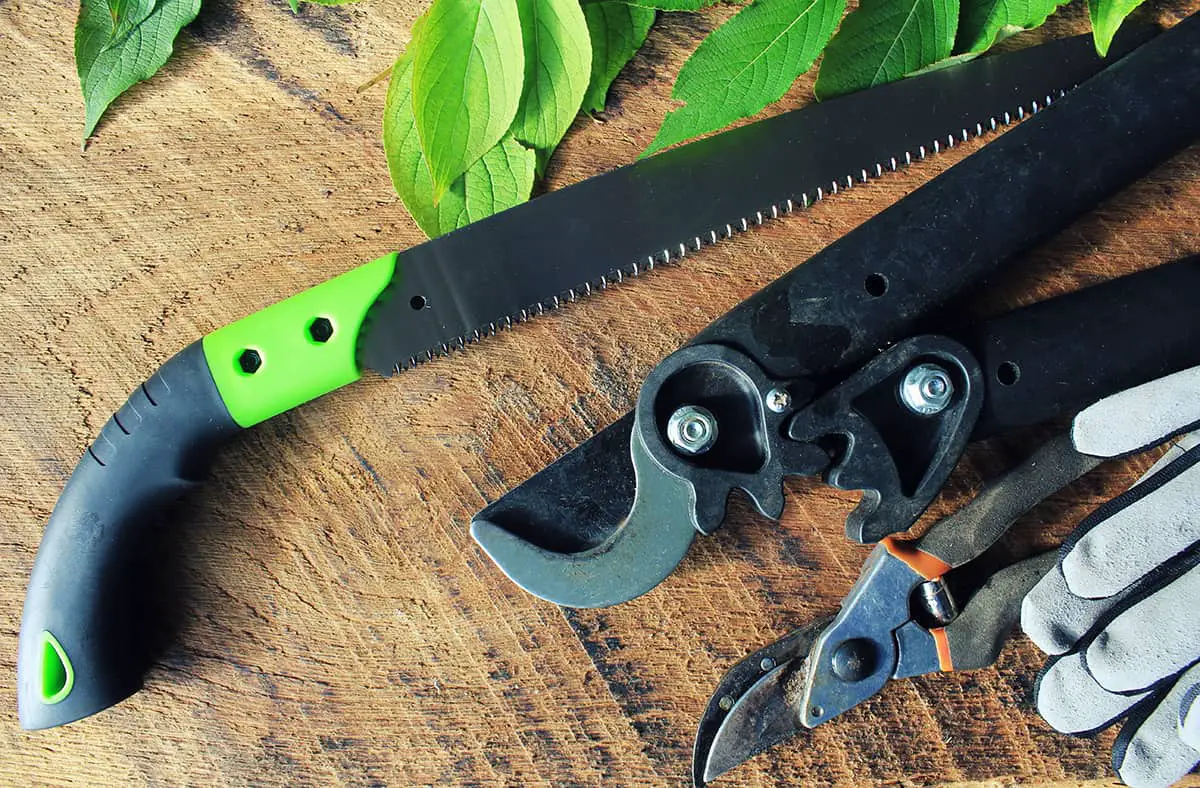 Tools Required for Pruning