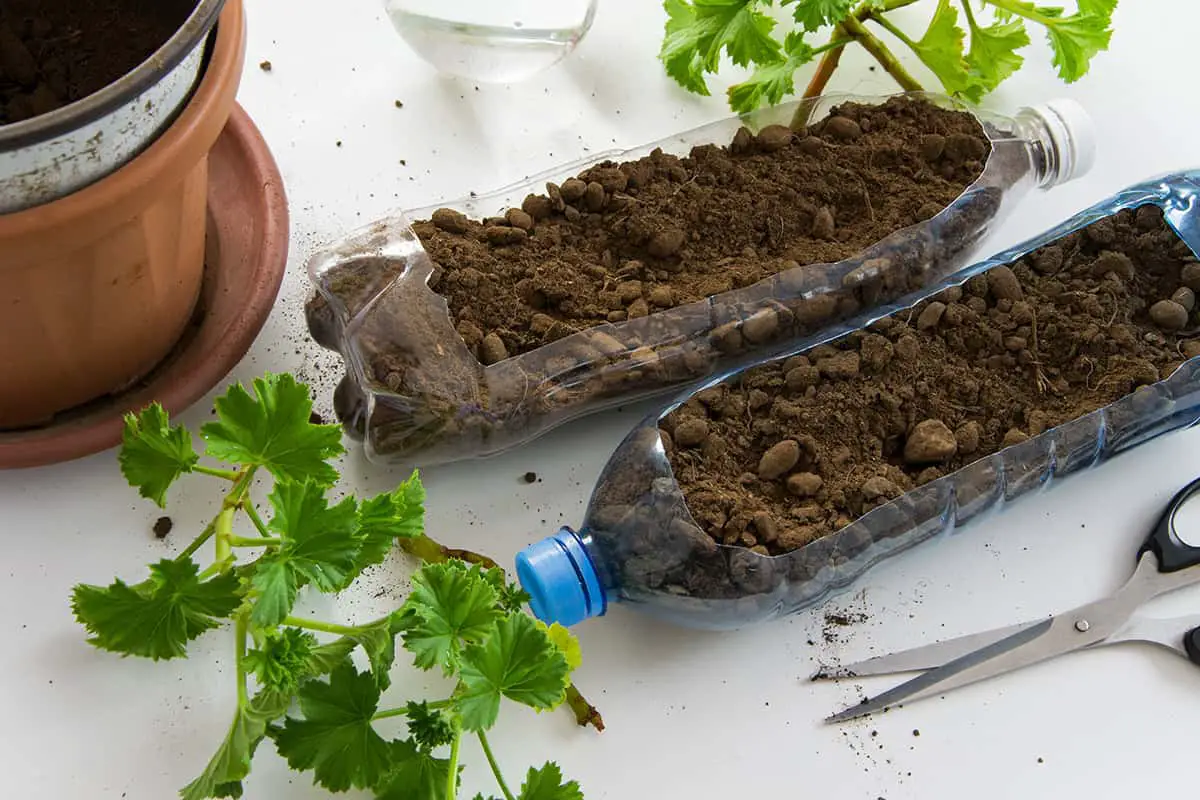 How to Reuse and Revitalize Old Potting Soil