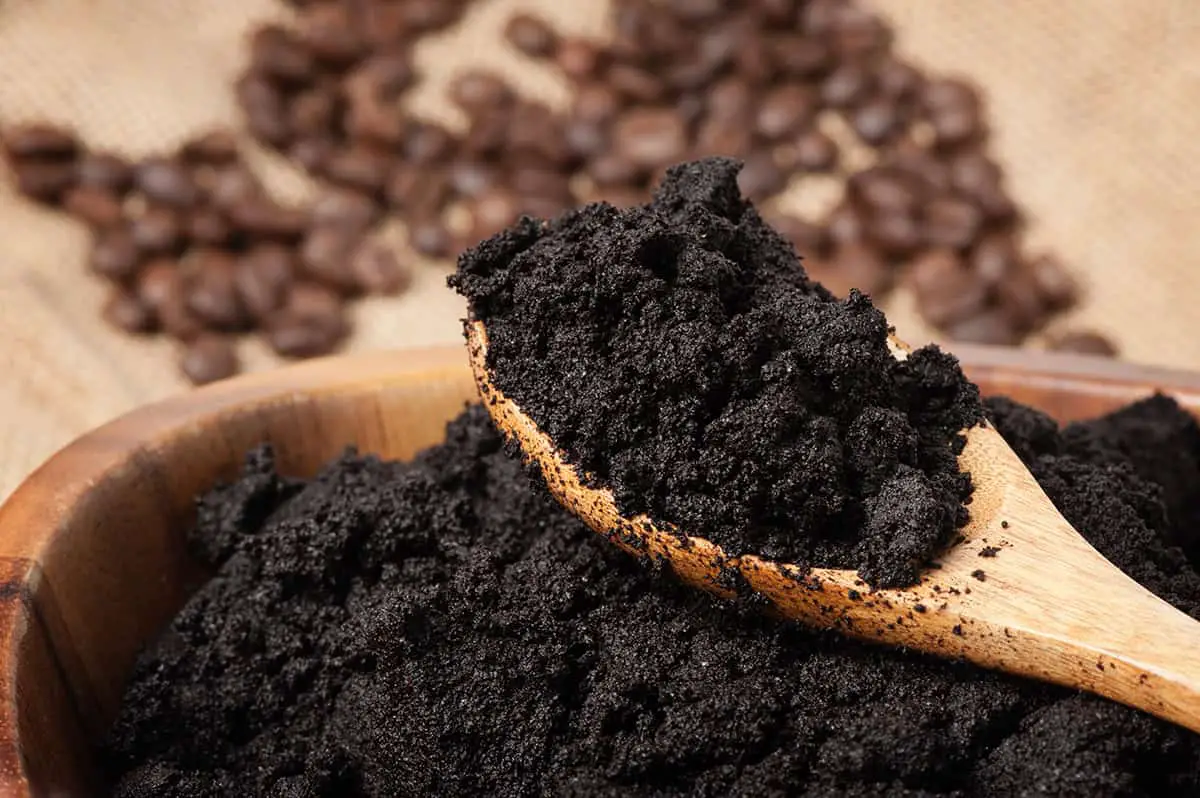 Important Considerations When Using Coffee Grounds