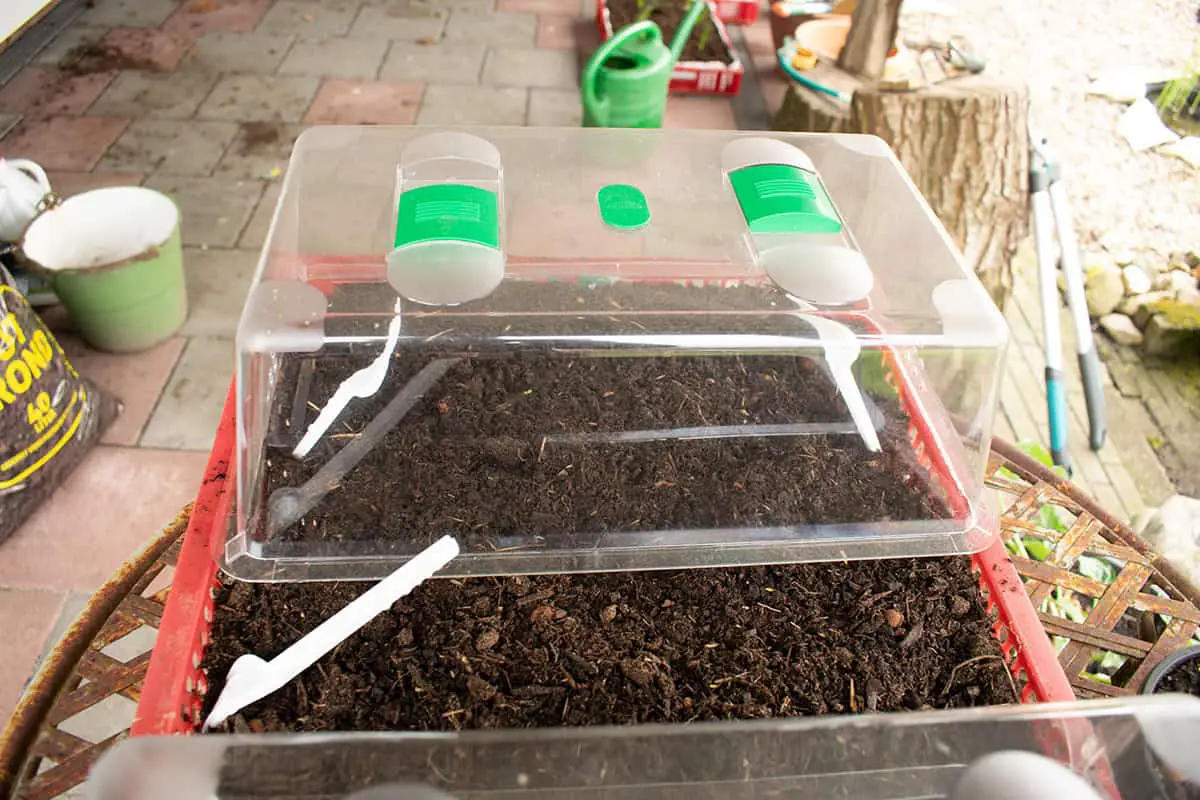 Step by Step to Revitalizing Old Soil