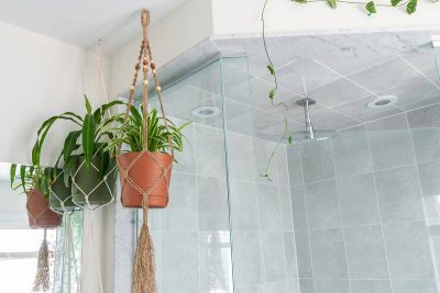 Hanging Plants That Thrive In a Bathroom