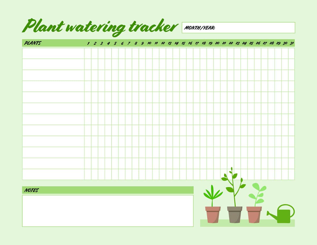 Houseplant Watering Charts and Schedules
