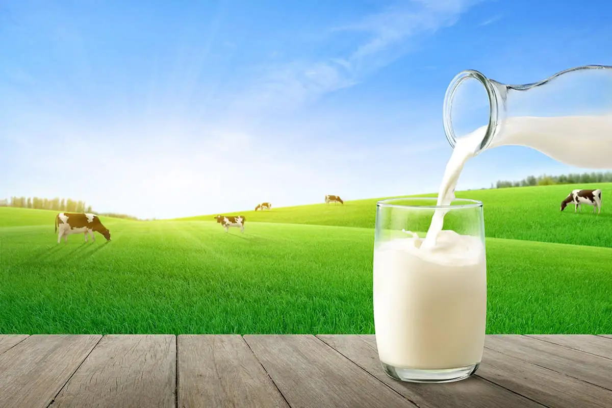 Milk As Gentle Fertilizer