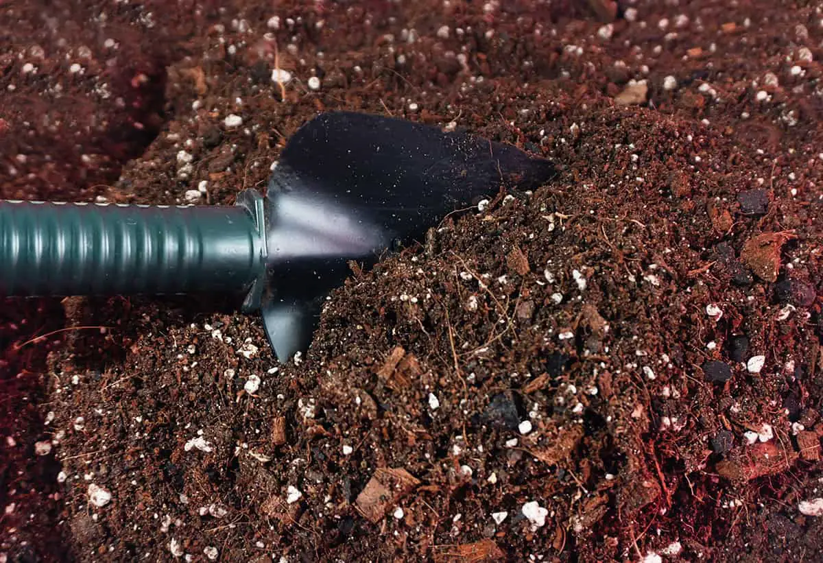 Mixing Potting Soil with Compost