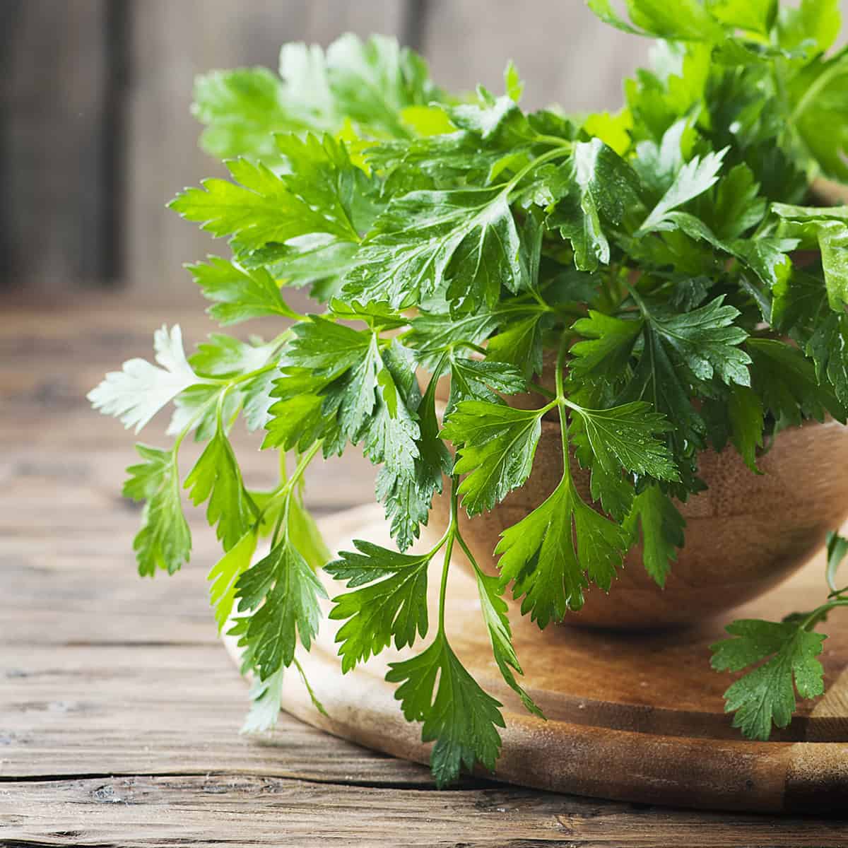 Parsley