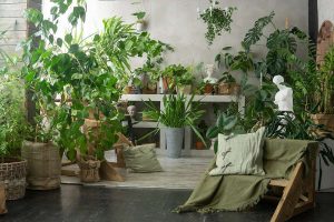 Plant Hacks to Upgrade Your Green Thumb