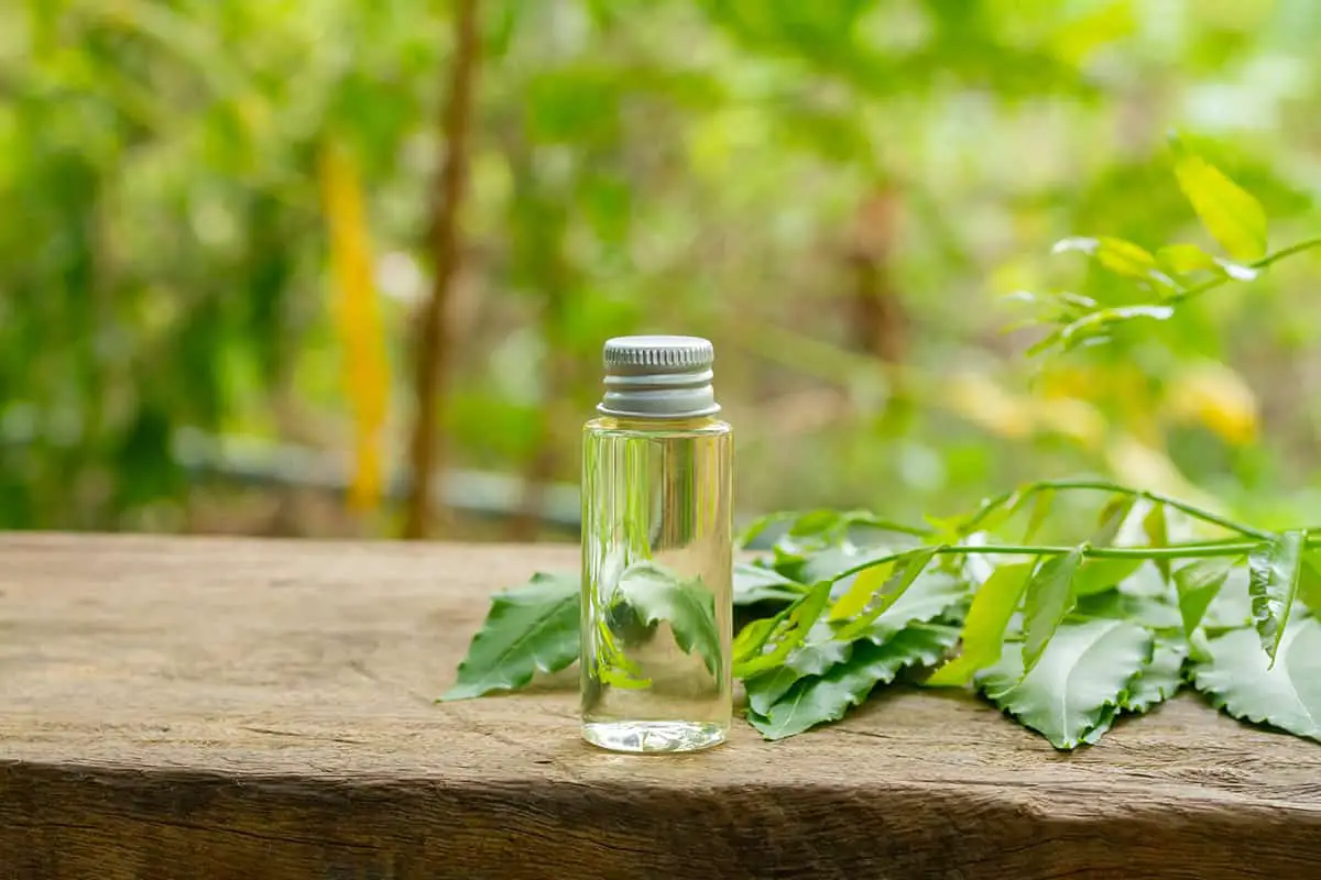 How to Use Neem Oil For Plants - Plantglossary