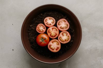 Can You Grow Tomatoes From a Tomato Slice
