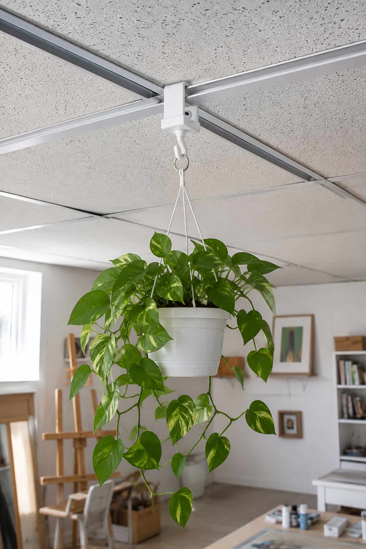 Clip On Hooks For Ceiling Grids