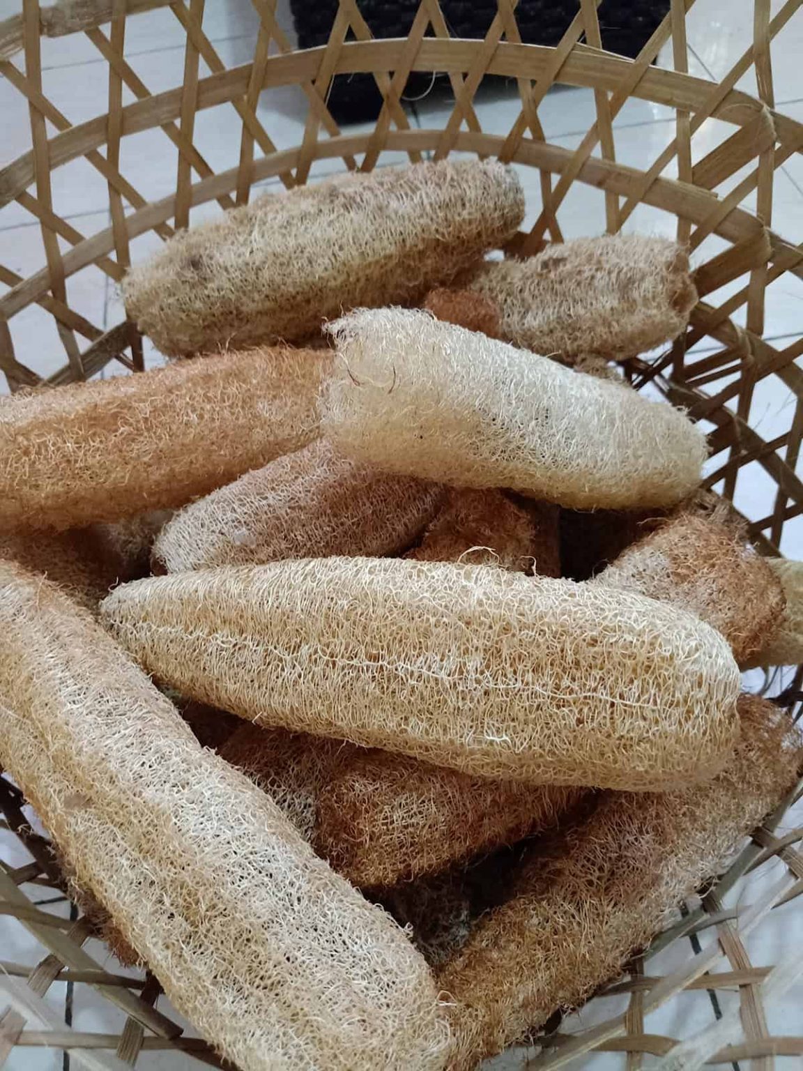 How To Grow Loofah Sponges Plantglossary