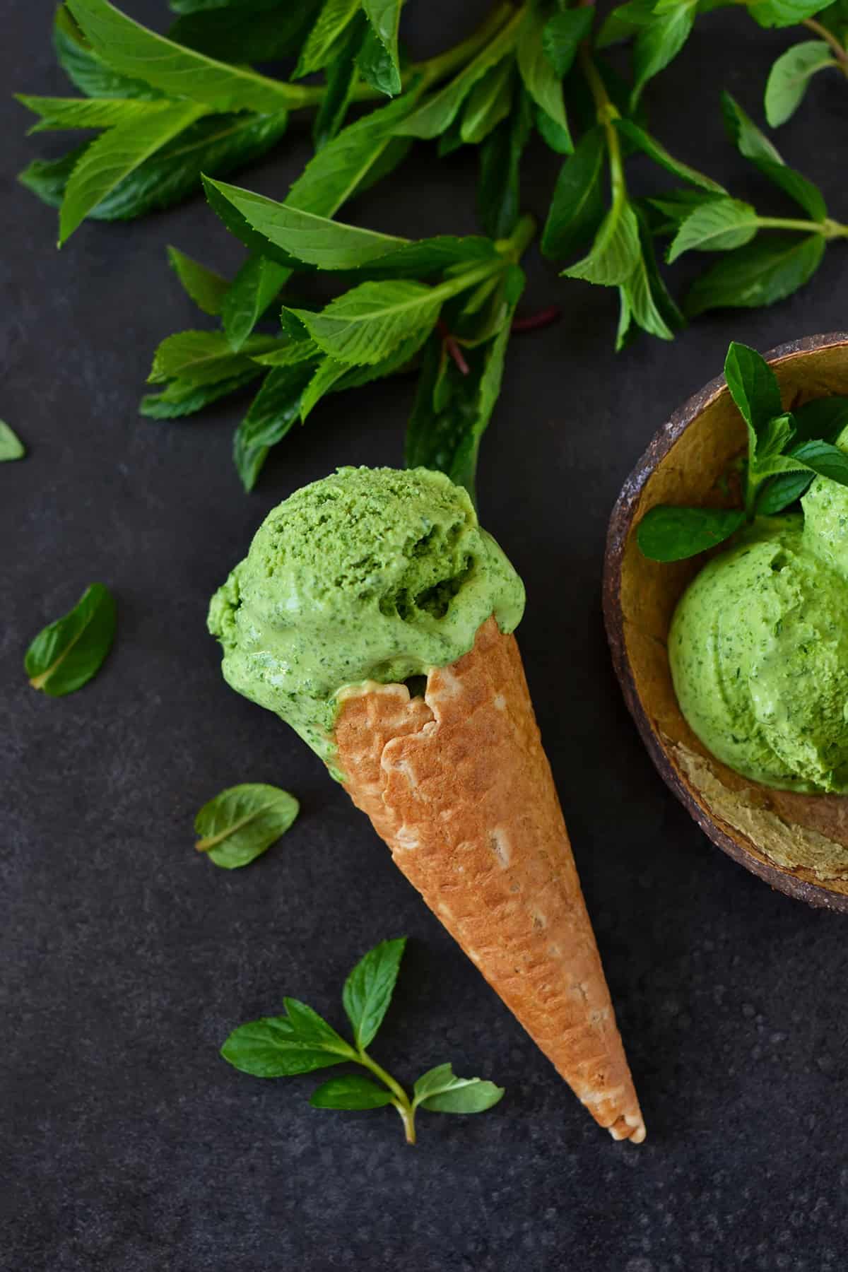 Homemade Mint Ice Cream