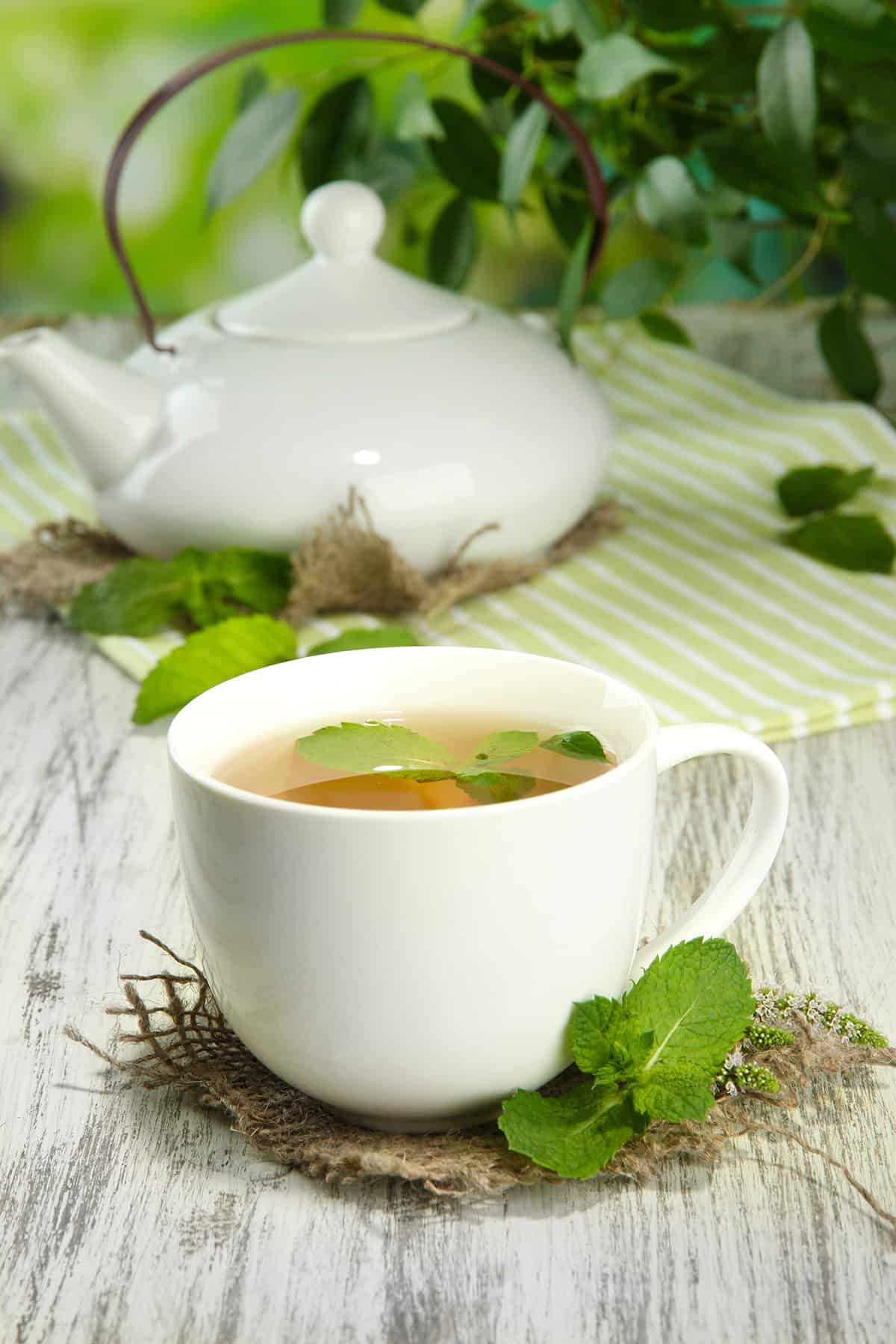 Mint Tea