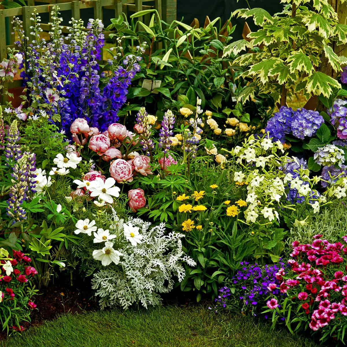 Plant Fragrant Flowers