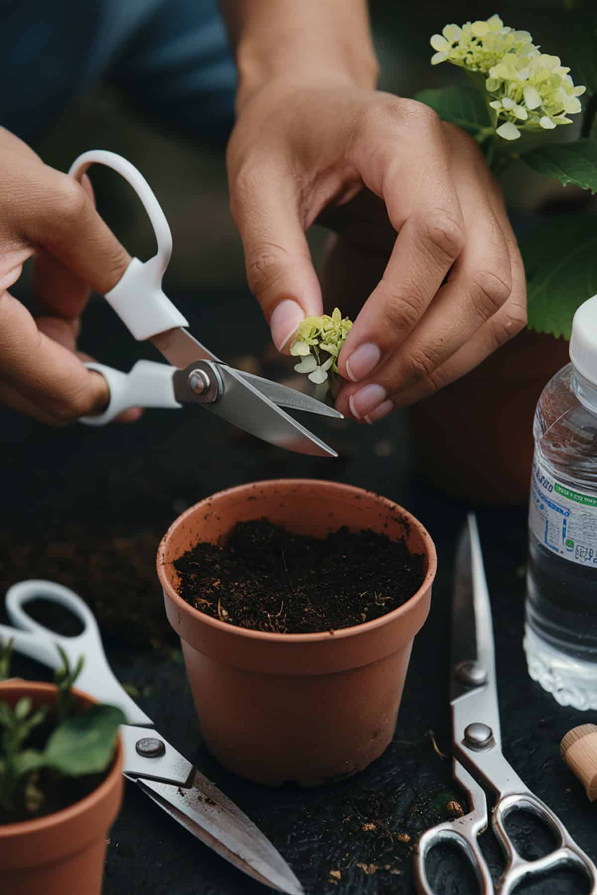 Preparing for Propagation