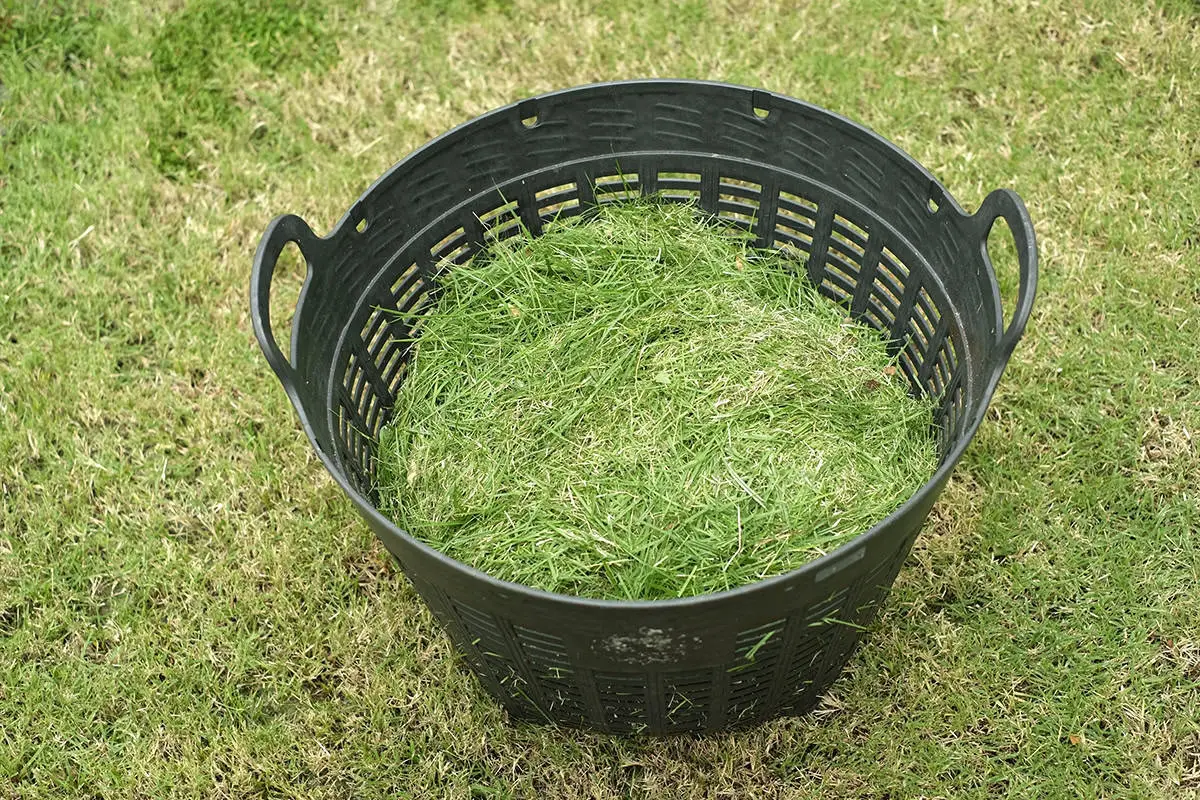 Ways to Use Grass Clippings