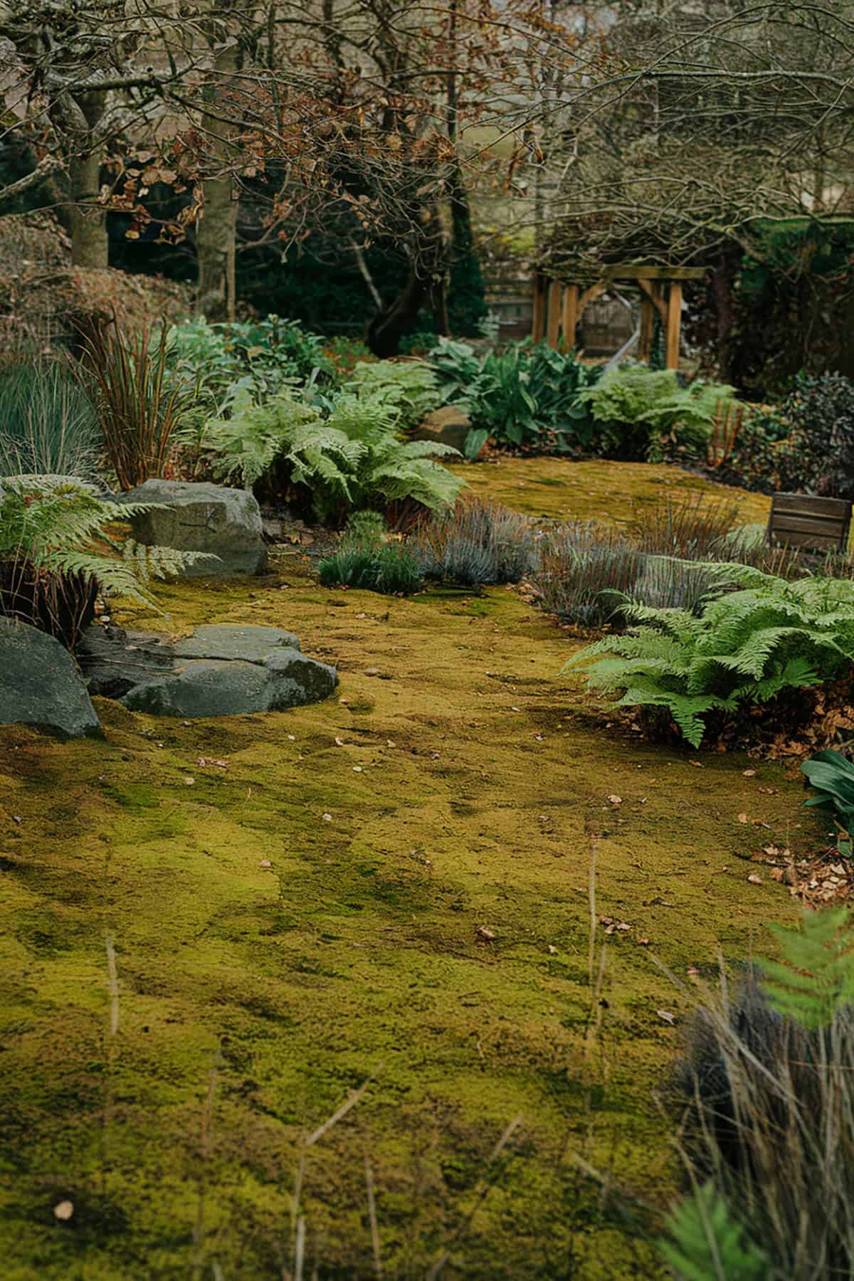 Mossy Ground Cover