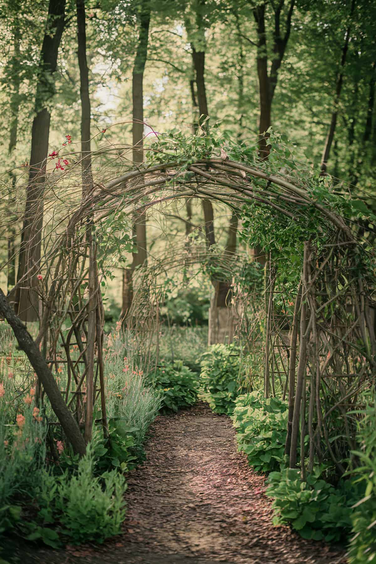 Rustic Arch Or Trellis