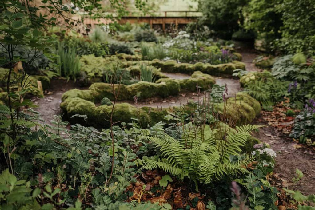 20 Stunning Woodland Garden Ideas - Plantglossary