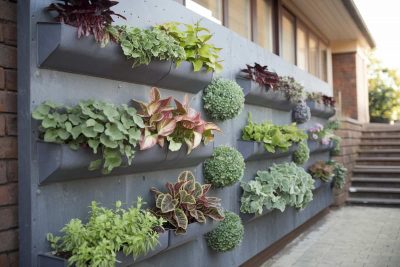 Garden Wall Ideas