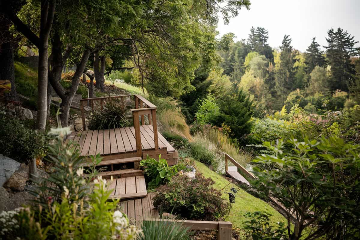 How To Create A Sloped Woodland Garden