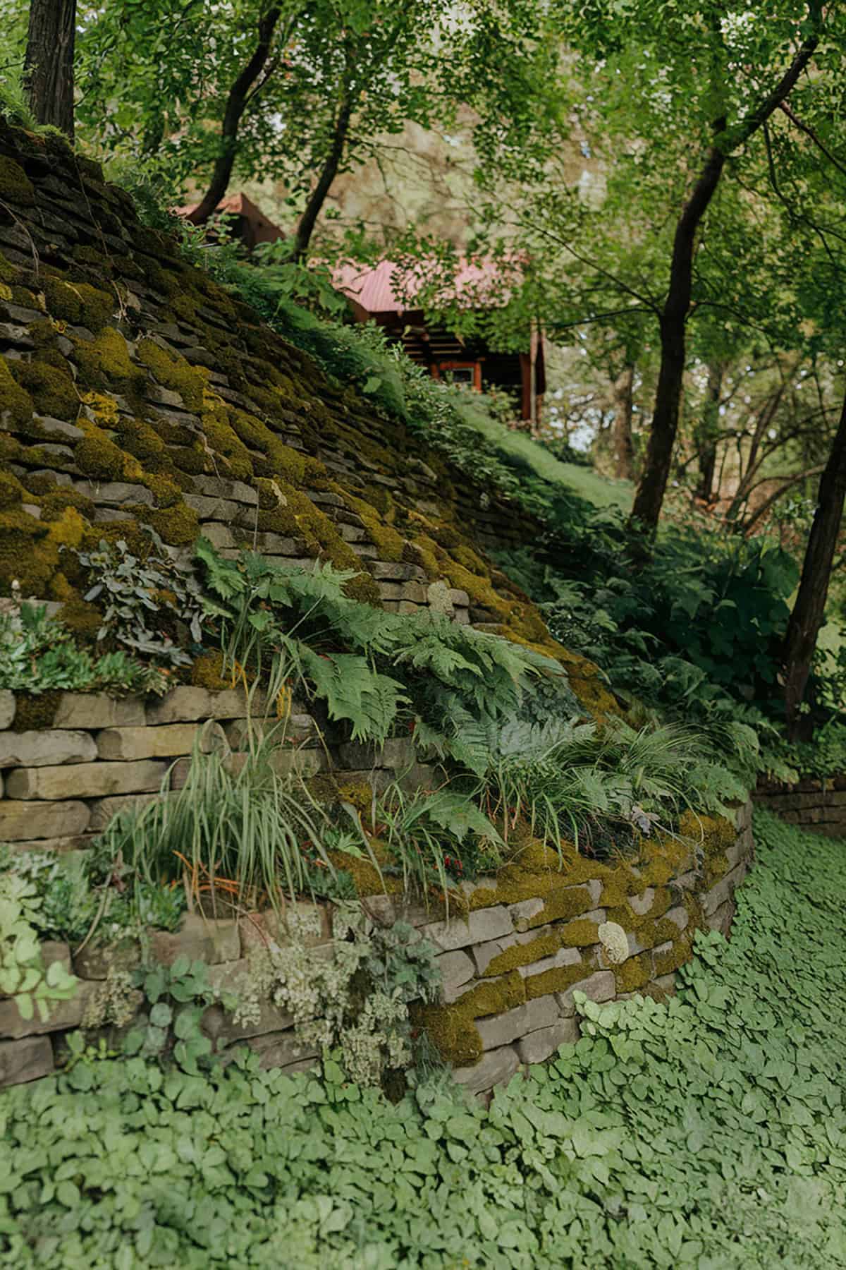 Mossy Retaining Walls