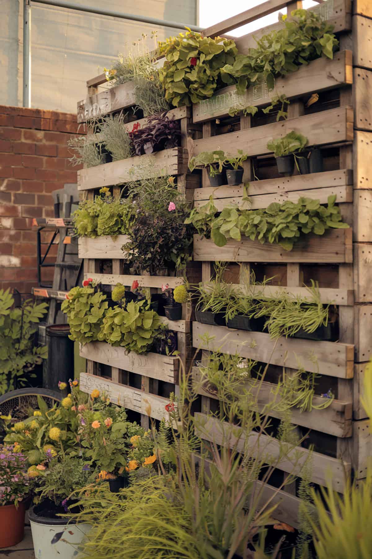 Recycled Pallet Wall