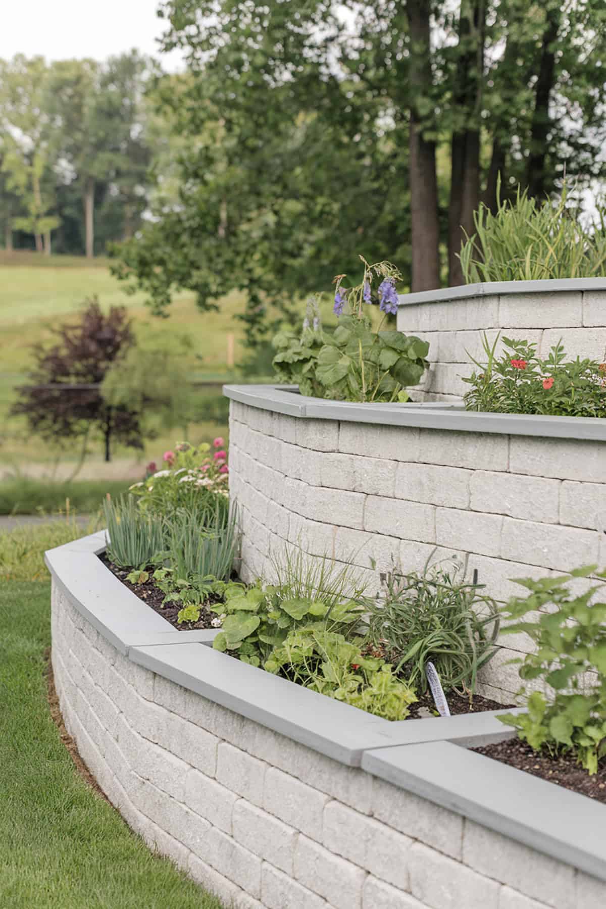 Retaining Wall with Planters