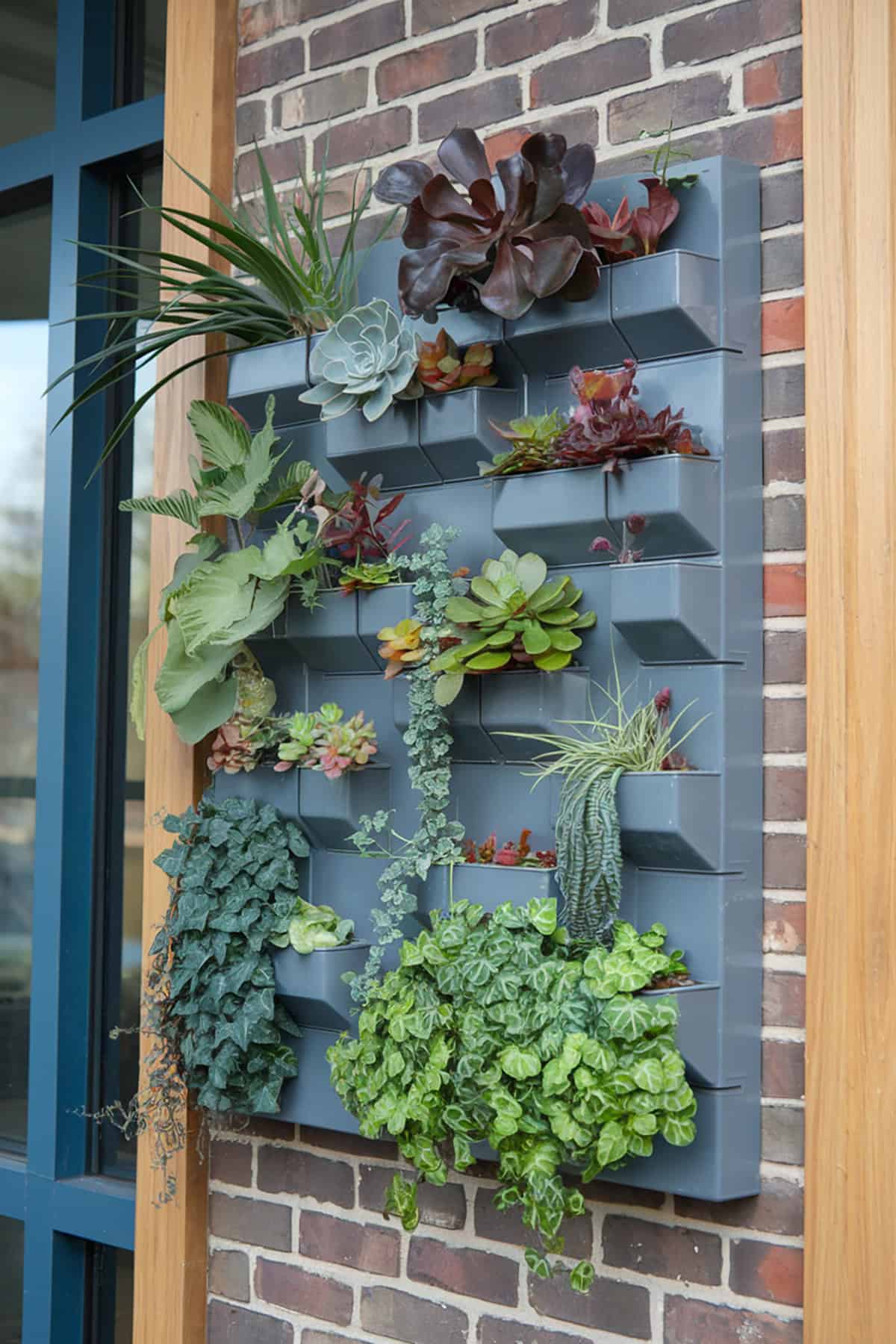 Vertical Garden Wall