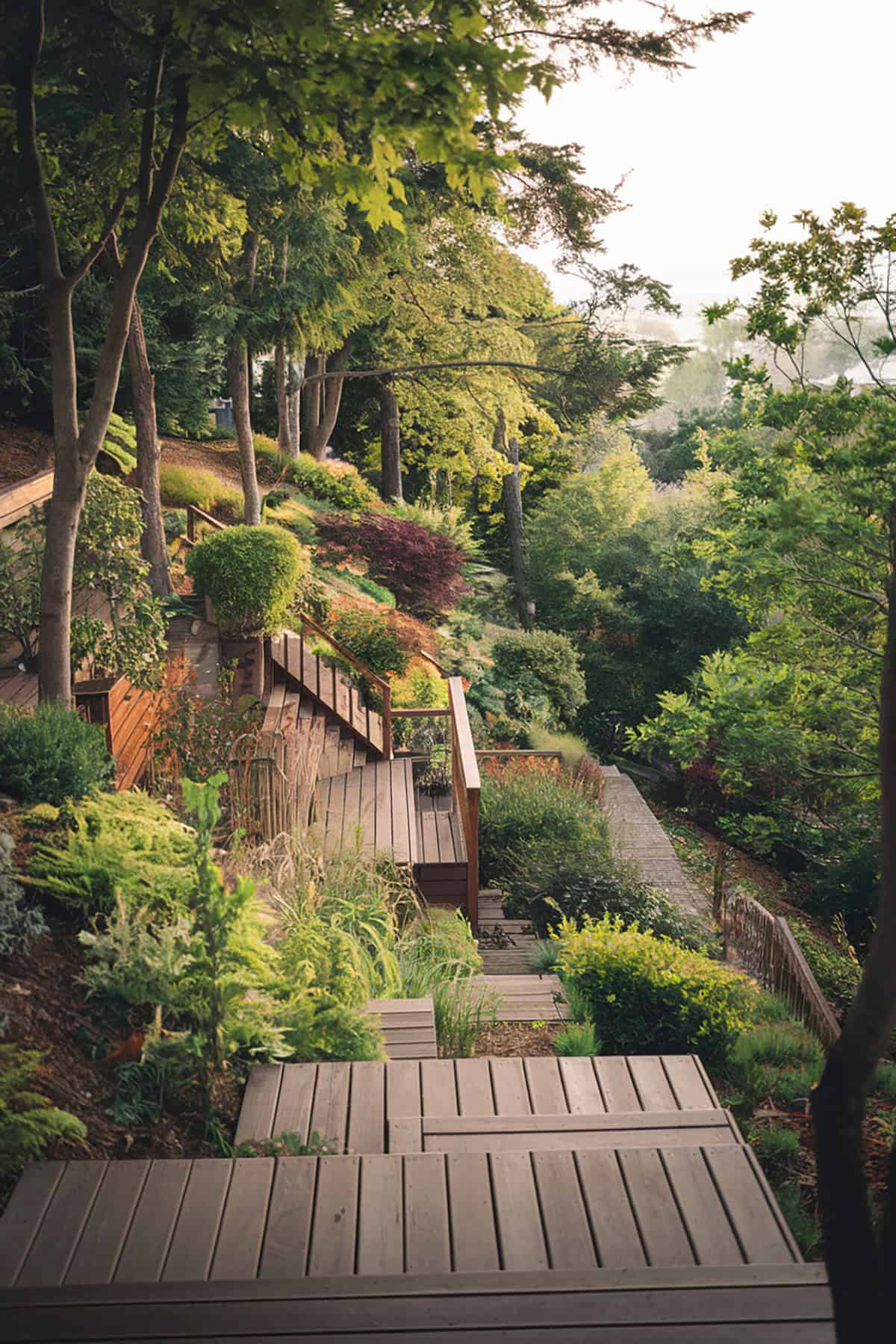 Woodland Deck Overlook