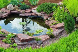22 Best Plants for Around a Garden Pond