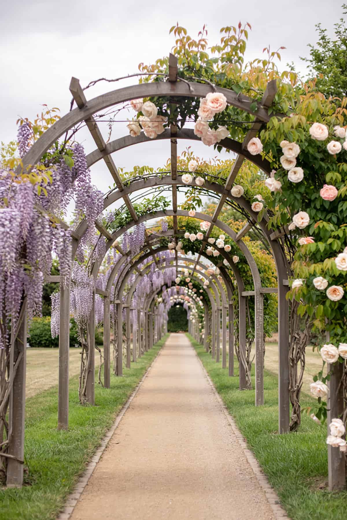 Arched Arbor Over Path