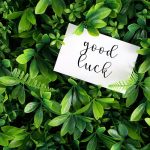 Best Plants For Good Luck