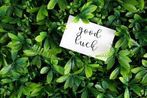 Best Plants For Good Luck