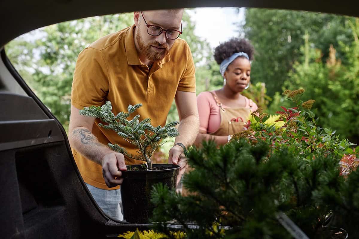 Buy Small Plants Instead of Mature Ones