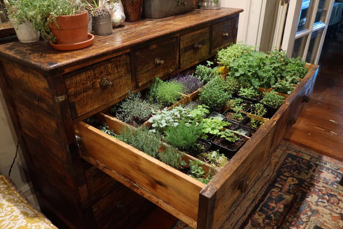 Drawer Herb Garden Setup in a Reused Dresser
