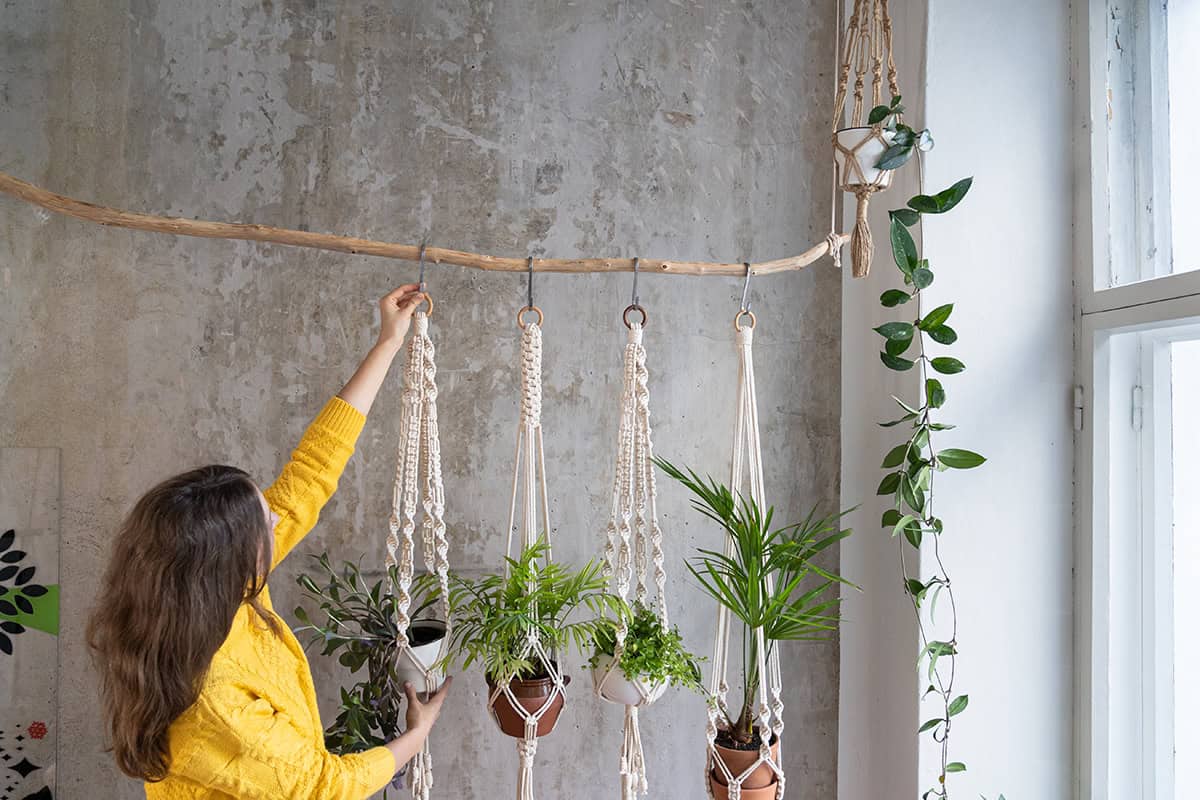 Hang Plants Using DIY Macramé or Rope Holders