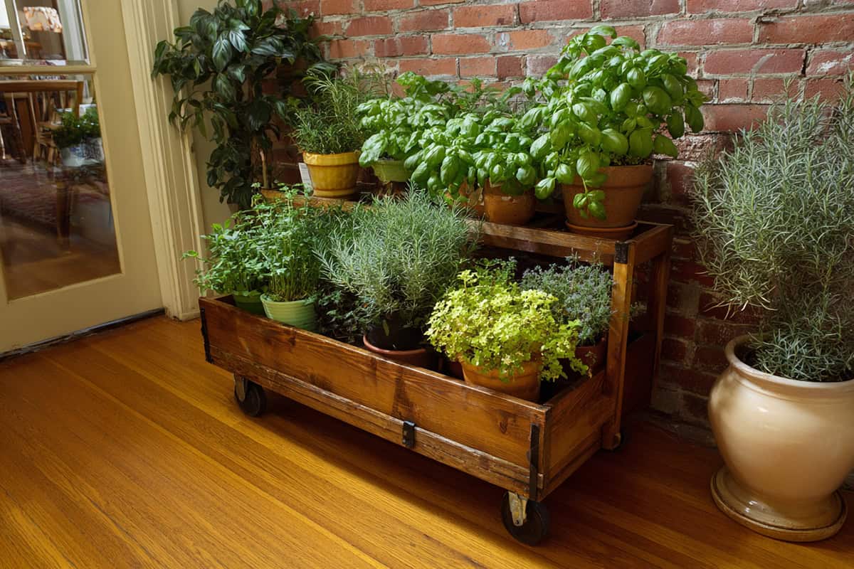 Herb Garden in a Wooden Rolling Cart